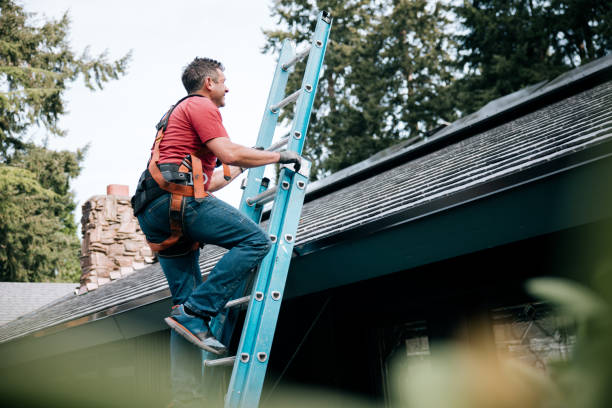 Best Roof Moss and Algae Removal  in Piggott, AR