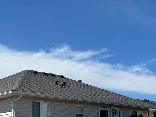 Best Roof Ventilation Installation  in Piggott, AR